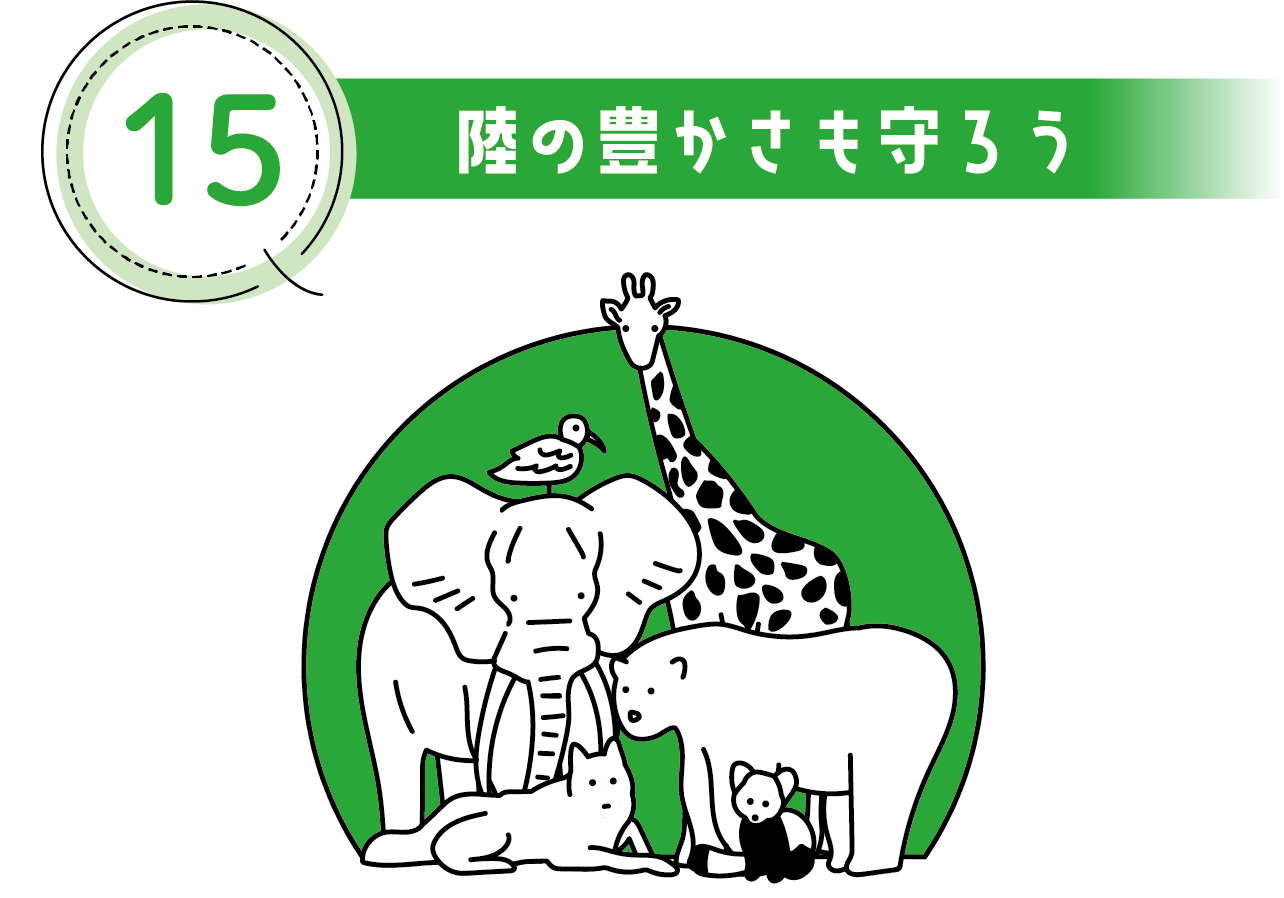 15 陸の豊かさも守ろう