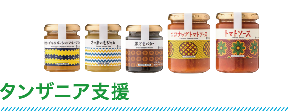 タンザニア支援